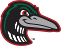 Great Lakes Loons 2016-Pres Alternate Logo 3 decal sticker