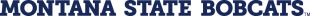 Montana State Bobcats 2013-Pres Wordmark Logo 03 Sticker Heat Transfer