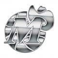 Dallas Mavericks Silver Logo decal sticker