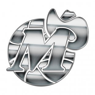 Dallas Mavericks Silver Logo Sticker Heat Transfer