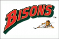 Buffalo Bisons 1998-2008 Jersey Logo decal sticker