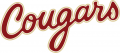 College of Charleston Cougars 2013-Pres Wordmark Logo 02 Sticker Heat Transfer