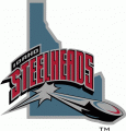 Idaho Steelheads 2004 05-2005 06 Alternate Logo Sticker Heat Transfer