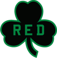 Boston Celtics 2006 07 Memorial Logo decal sticker