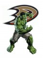 Anaheim Ducks Hulk Logo decal sticker