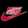 Detroit Red Wings Nike logo Sticker Heat Transfer