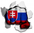 Fist Slovakia Flag Logo Sticker Heat Transfer
