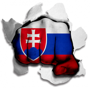 Fist Slovakia Flag Logo Sticker Heat Transfer