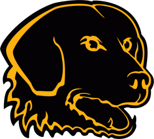 UMBC Retrievers 1997-2009 Secondary Logo Sticker Heat Transfer