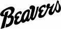 Bemidji State Beavers 2004-Pres Wordmark Logo 01 Sticker Heat Transfer