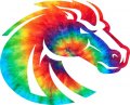 Denver Broncos rainbow spiral tie-dye logo Sticker Heat Transfer