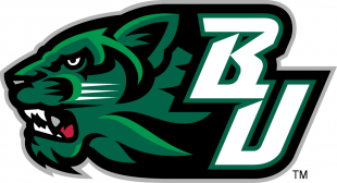 Binghamton Bearcats 2001-Pres Secondary Logo 02 Sticker Heat Transfer
