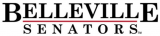 Belleville Senators 2017-Pres Wordmark Logo Sticker Heat Transfer