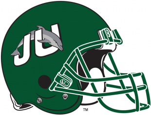 Jacksonville Dolphins 1996-2018 Helmet decal sticker