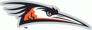 Delmarva Shorebirds 2010-Pres Primary Logo decal sticker