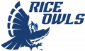 Rice Owls 2017-Pres Alternate Logo 01 decal sticker
