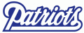 New England Patriots 1993-1999 Wordmark Logo decal sticker