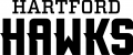 Hartford Hawks 2015-Pres Wordmark Logo 07 Sticker Heat Transfer