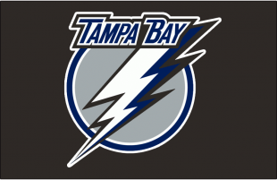 Tampa Bay Lightning 2007 08-2010 11 Jersey Logo Sticker Heat Transfer