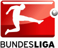 German Liga Logo decal sticker