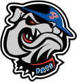 Regina Pats 2002 03-Pres Alternate Logo decal sticker