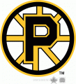 Providence Bruins 1995 96-2011 12 Primary Logo decal sticker