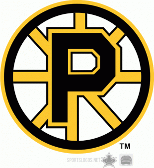 Providence Bruins 1995 96-2011 12 Primary Logo Sticker Heat Transfer