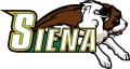 Siena Saints 2001-Pres Primary Logo decal sticker
