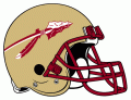 Florida State Seminoles 1976-2013 Helmet Logo Sticker Heat Transfer