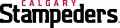 Calgary Stampeders 2012-Pres Wordmark Logo Sticker Heat Transfer
