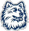 UConn Huskies 1996-2012 Alternate Logo 07 decal sticker