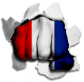 Fist France Flag Logo decal sticker