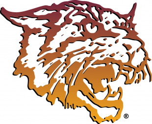 Bethune-Cookman Wildcats 2000-2015 Primary Logo Sticker Heat Transfer