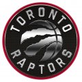 Toronto Raptors Crystal Logo Sticker Heat Transfer