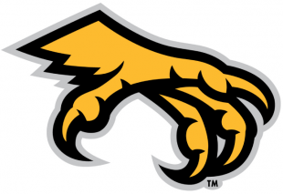 Kennesaw State Owls 2012-Pres Alternate Logo 03 Sticker Heat Transfer