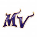 Minnesota Vikings Crystal Logo Sticker Heat Transfer
