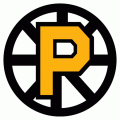 Providence Bruins 2012 13-Pres Primary Logo decal sticker