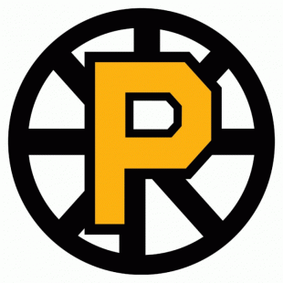 Providence Bruins 2012 13-Pres Primary Logo Sticker Heat Transfer