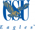 Coppin State Eagles 2004-2016 Alternate Logo Sticker Heat Transfer