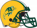 North Dakota State Bison 2000-2011 Helmet Sticker Heat Transfer