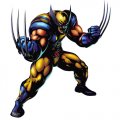Wolverine Logo 02