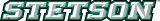 Stetson Hatters 2008-2017 Wordmark Logo 01 Sticker Heat Transfer