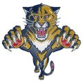 Florida Panthers Plastic Effect Logo Sticker Heat Transfer