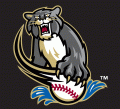 Sacramento River Cats 2000-2006 Cap Logo 3 Sticker Heat Transfer