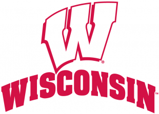 Wisconsin Badgers 2002-Pres Alternate Logo 01 decal sticker