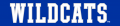 Kentucky Wildcats 2016-Pres Wordmark Logo 08 decal sticker