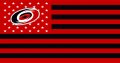 Carolina Hurricanes Flag001 logo decal sticker