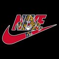 Florida Panthers Nike logo Sticker Heat Transfer