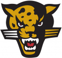 IUPUI Jaguars 1998-2007 Secondary Logo 01 decal sticker