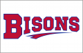 Buffalo Bisons 2013-Pres Jersey Logo decal sticker